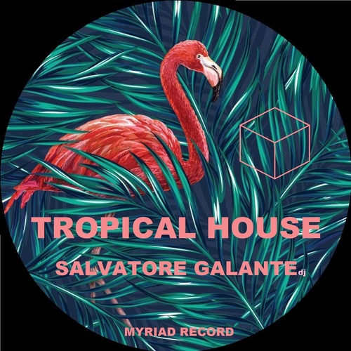 salvatore galante DJ - Tropical House [112022]